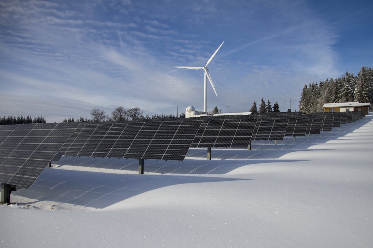 bird proofing solar panels